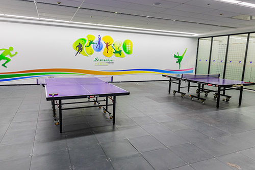 Table Tennis Activity Room