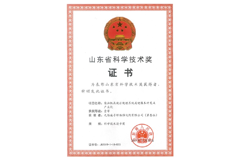 Shandong Provincial Science and Technology Progress Award